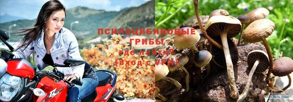 твердый Нефтегорск