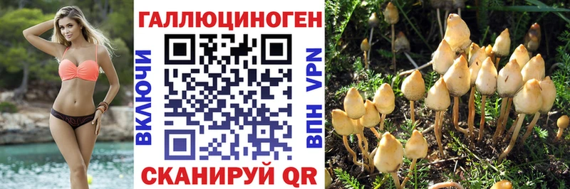 купить наркоту Нижние Серги Псилоцибиновые грибы Psilocybe